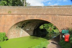 33.-Sampford-Peverell-Bridge-downstream-arch
