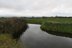 15.-Downstream-from-Perrymoor-Confluence-11