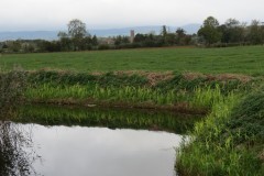 15.-Downstream-from-Perrymoor-Confluence-12