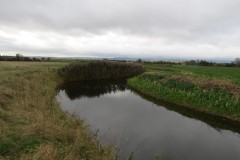 15.-Downstream-from-Perrymoor-Confluence-14