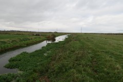 15.-Downstream-from-Perrymoor-Confluence-17