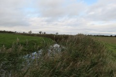 15.-Downstream-from-Perrymoor-Confluence-2