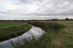15.-Downstream-from-Perrymoor-Confluence-6