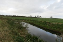 15.-Downstream-from-Perrymoor-Confluence-7