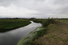 16.-Upstream-from-confluence-with-River-Parrett-10