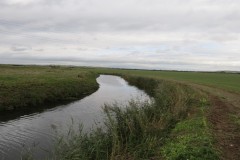16.-Upstream-from-confluence-with-River-Parrett-11