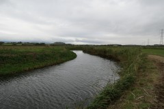 16.-Upstream-from-confluence-with-River-Parrett-14