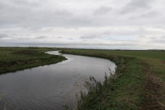 16.-Upstream-from-confluence-with-River-Parrett-16