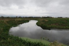 16.-Upstream-from-confluence-with-River-Parrett-5