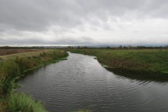16.-Upstream-from-confluence-with-River-Parrett-9