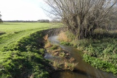 37.-Looking-downstream-from-Lytes-Cary-Footbridge