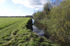 39.-River-view-downstream-from-Lytes-Cary-Footbridge