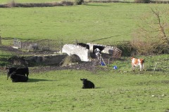45.-Cooks-Cary-Farm-Bridge