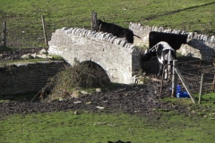 46.-Cooks-Cary-Farm-Bridge-Upstream-Arch