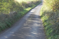 50.-Cary-Bridge