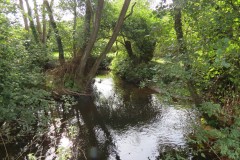 IMG_1620
