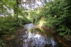 IMG_1646