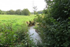 IMG_1650
