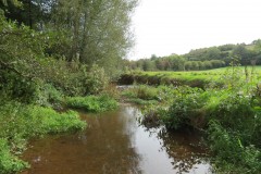 IMG_1659