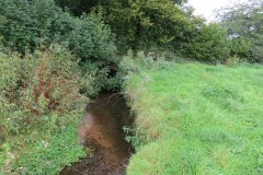 IMG_1666
