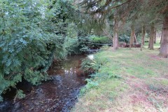 IMG_1678