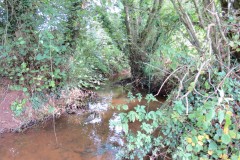 IMG_1687