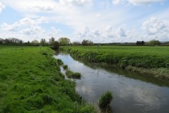 10.-Downstream-from-Bradon-Lane-4