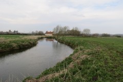 IMG_8495