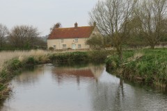 IMG_8496