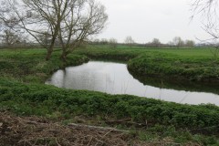 IMG_8497