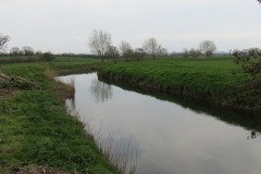IMG_8498