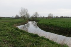 IMG_8500