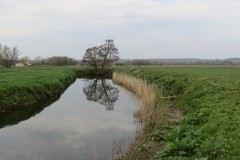 IMG_8501