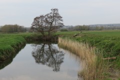 IMG_8502