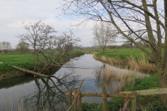 IMG_8506