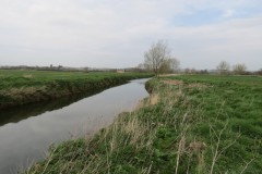 IMG_8510