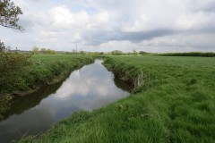 IMG_8685