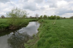 IMG_8689