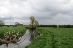 IMG_8693