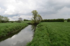 IMG_8694