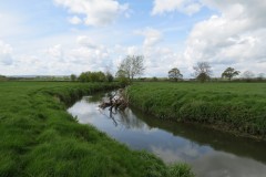 IMG_8695