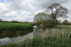 IMG_8696