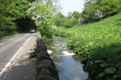 48Upstream-From-Shepton-Road-Bridge