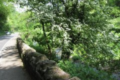 49Upstream-From-Shepton-Road-Bridge-2