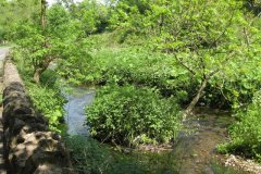 49Upstream-From-Shepton-Road-Bridge-3