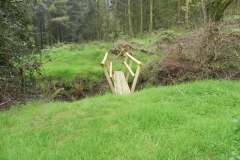 1. Footbridge below Withiel Hill headwaters