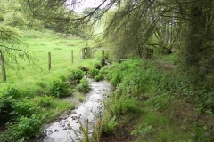 10 Flowing through Hazery Plantation