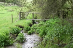11 Flowing through Hazery Plantation