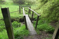 12 Footbridge Hazery Plantation