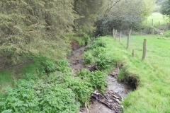 13 Flowing through Hazery Plantation